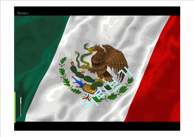 Mexico analysis   (1 )